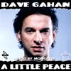 Dave Gahan - 2011 - A Little Peace thum.jpg
