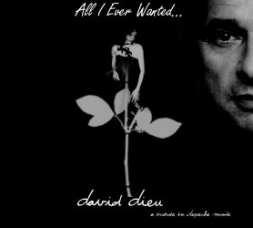 All I Ever Wanted (David Dieu packing remix Vol.1).jpg