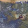 Dark Fluid (Recoil Remixes)