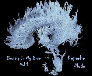 beatinginmybrain1cover-int-jpg.2778