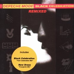 dm - black celebration remixed int.jpg