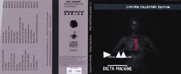 Delta Machine - Limited Collectors Edition 3.jpg