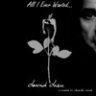 All I Ever Wanted... 01 (David Dieu A Tribute to Depeche Mode)